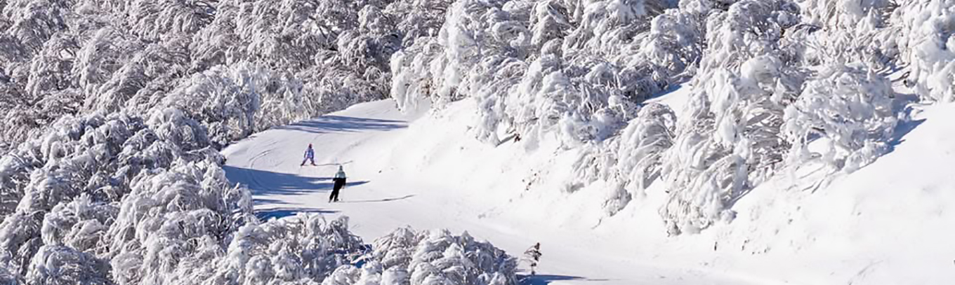 heavy-snow-hotham-trail