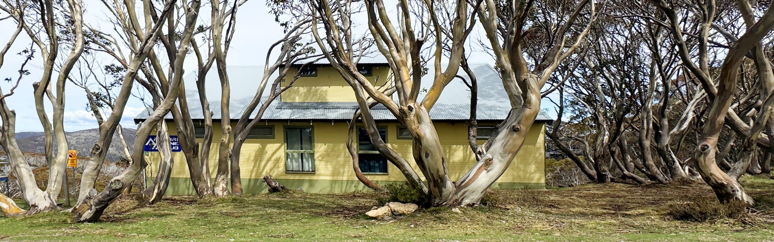Arrabri Alpine Club Summer Mt Hotham Arrabri Alpine Club Mt Hotham summer