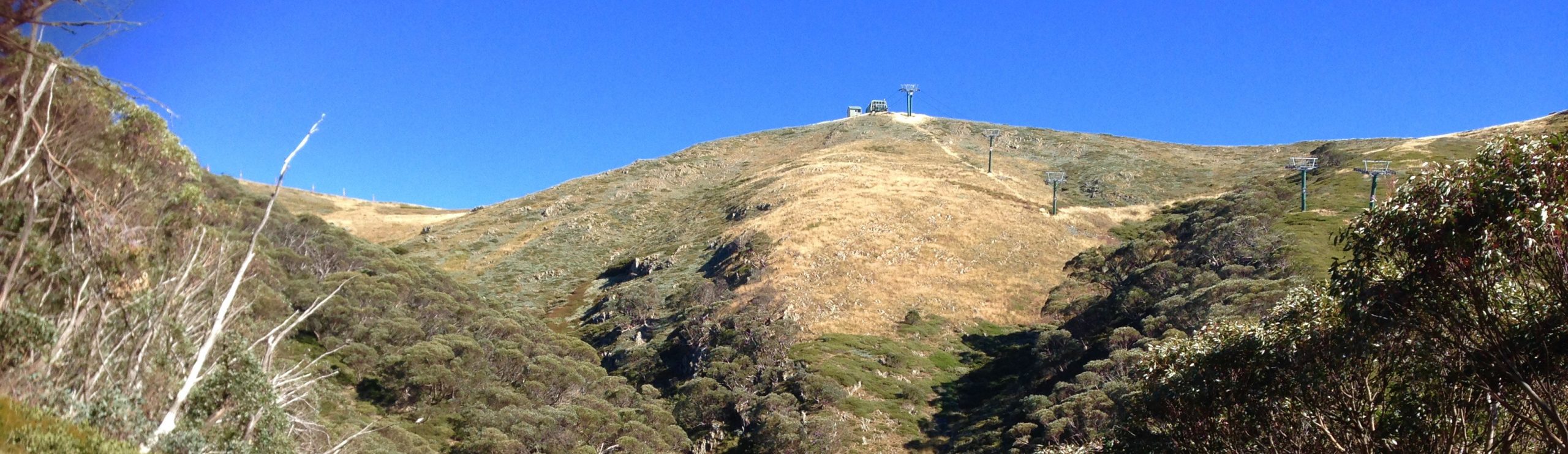 Mt Hotham ski slopes in summer Mt Hotham ski slopes in summer