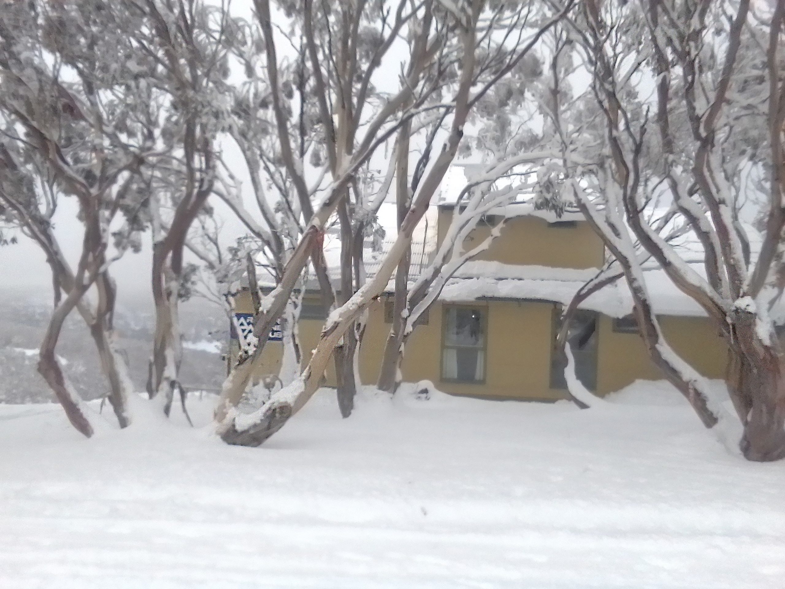 Arrabri Alpine Club