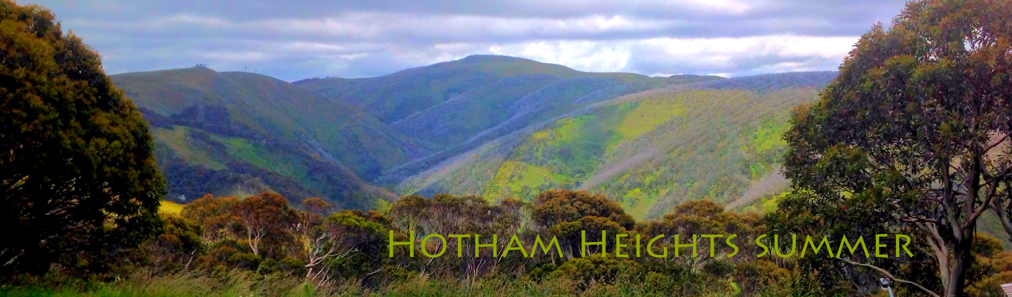 Hotham Heights Summer